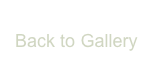 Back to Gallery 